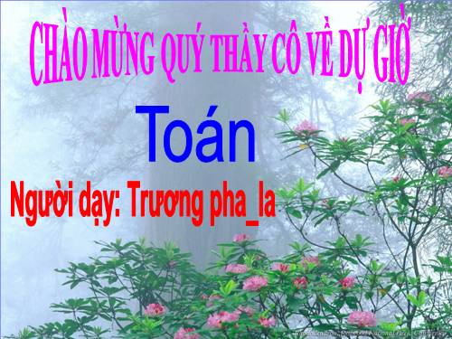 Ôn tập về phân số