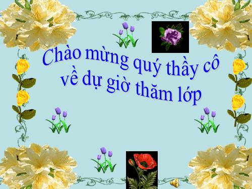 Tỉ số phần trăm