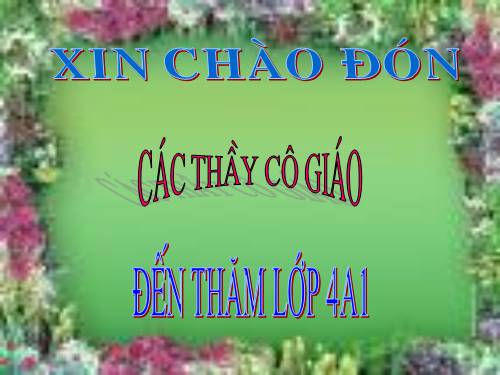 Ôn tập: Tính chất cơ bản của phân số