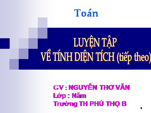 Luyện tập về tính diện tích (tiếp theo)