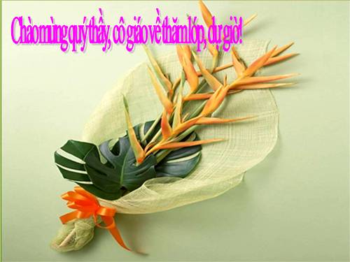 Chia một số thập phân cho một số tự nhiên
