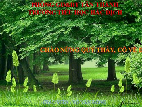 Các Bài giảng khác thuộc Chương trình Toán 5