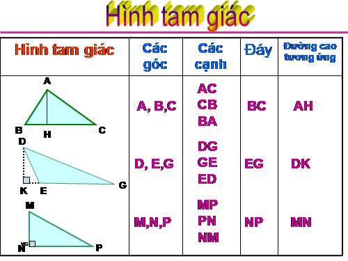 Diện tích hình tam giác