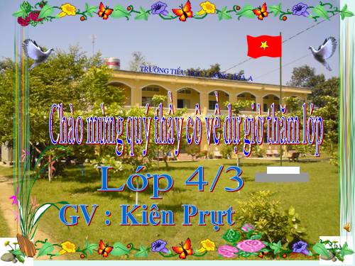 ôn luyện buổi 2 lớp 4