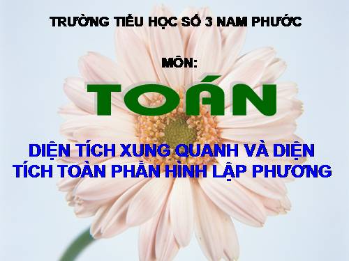 Diện tích xung quanh và diện tích toàn phần của hình lập phương