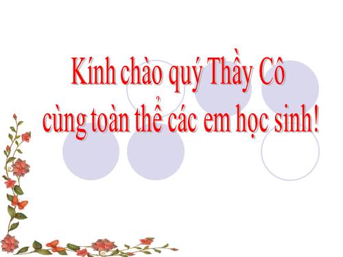 Luyện tập về tính diện tích (tiếp theo)