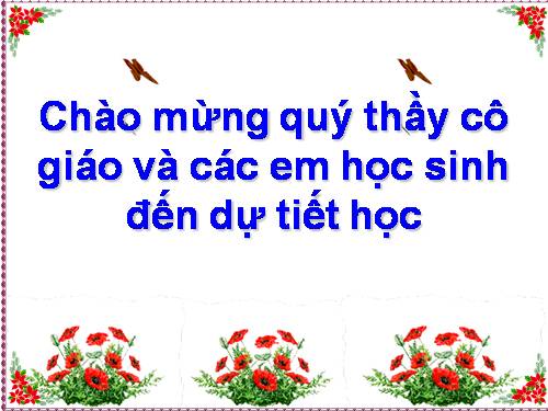 Các Bài giảng khác thuộc Chương trình Toán 5