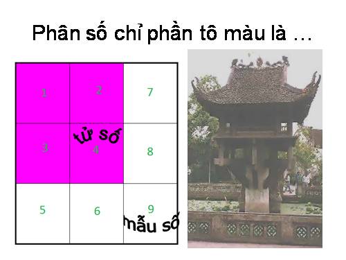 Ôn tập: Tính chất cơ bản của phân số