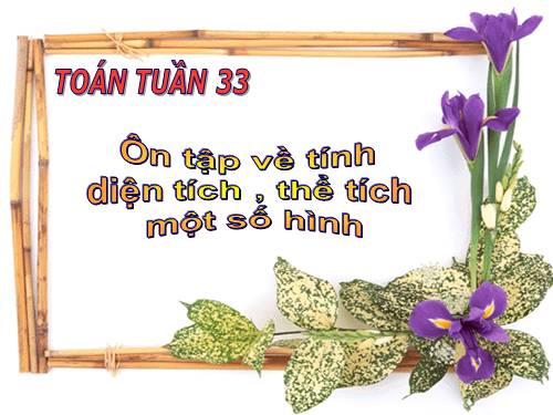 Ôn tập về tính diện tích, thể tích một số hình