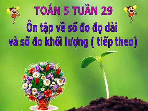 Ôn tập về đo độ dài và đo khối lượng (tiếp theo)