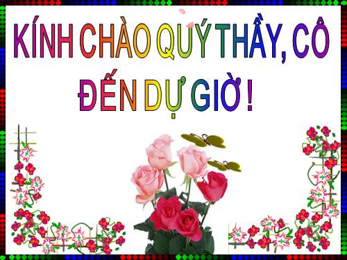 Diện tích hình thang