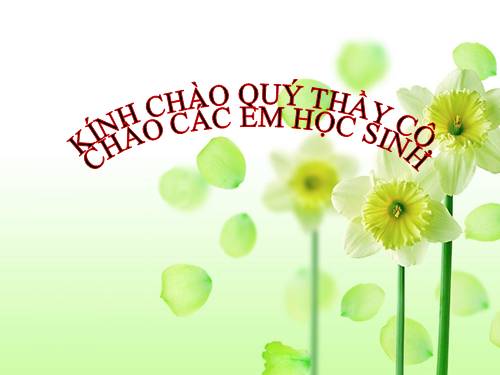 Các Bài giảng khác thuộc Chương trình Toán 5