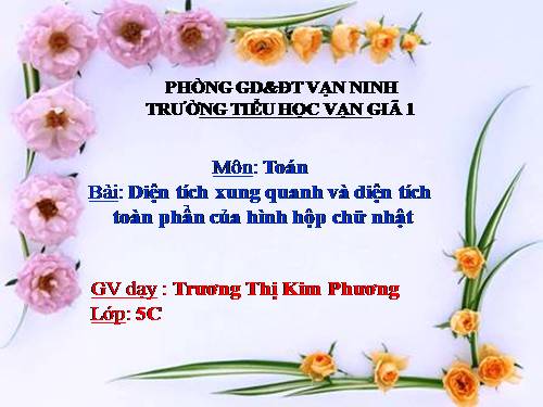 Diện tích xung quanh và diện tích toàn phần của hình hộp chữ nhật