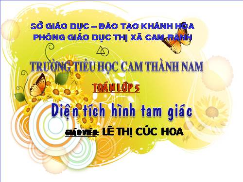 Diện tích hình tam giác