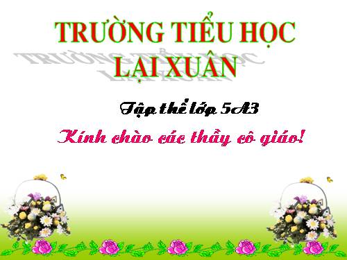 Các Bài giảng khác thuộc Chương trình Toán 5