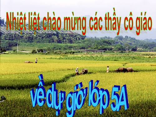 Số thập phân bằng nhau