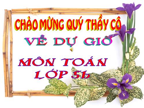 Các Bài giảng khác thuộc Chương trình Toán 5