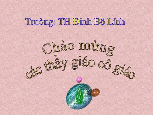 Các Bài giảng khác thuộc Chương trình Toán 5