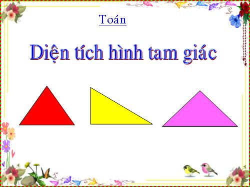 Diện tích hình tam giác