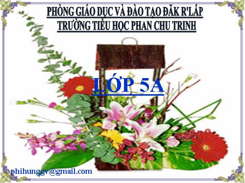 Giới thiệu biểu đồ hình quạt