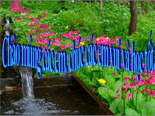 Thể tích hình hộp chữ nhật