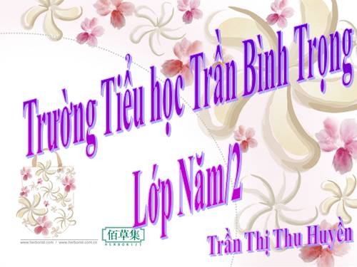 Các Bài giảng khác thuộc Chương trình Toán 5