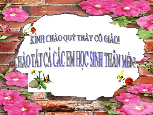 Các Bài giảng khác thuộc Chương trình Toán 5