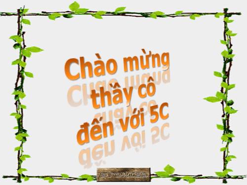 Ôn tập về tính chu vi, diện tích một số hình