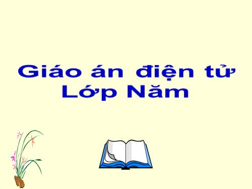 Hình hộp chữ nhật. Hình lập phương