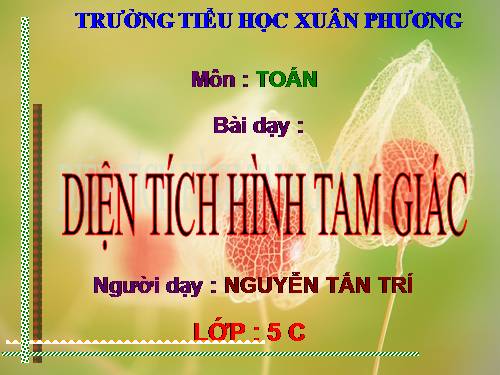 Diện tích hình tam giác