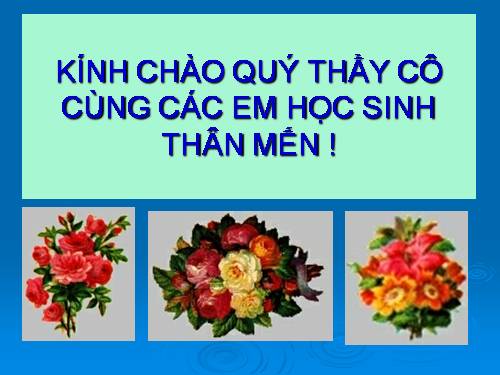 Khái niệm số thập phân (tiếp theo)