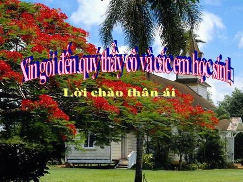 Các Bài giảng khác thuộc Chương trình Toán 5