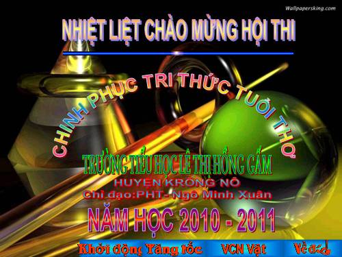 MINH XUÂN-KRÔNG NÔ - CHINH PHỤC TRI THỨC TUỔI THƠ NĂM 2010-2011