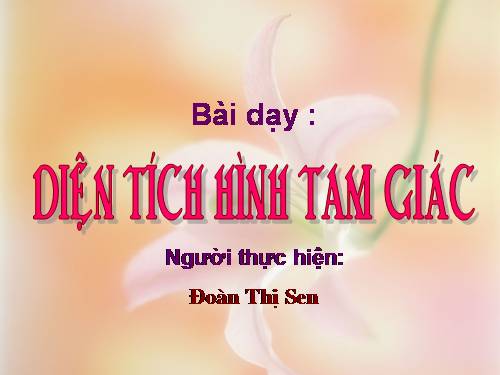 Diện tích hình tam giác