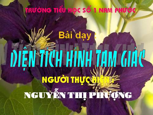 Diện tích hình tam giác