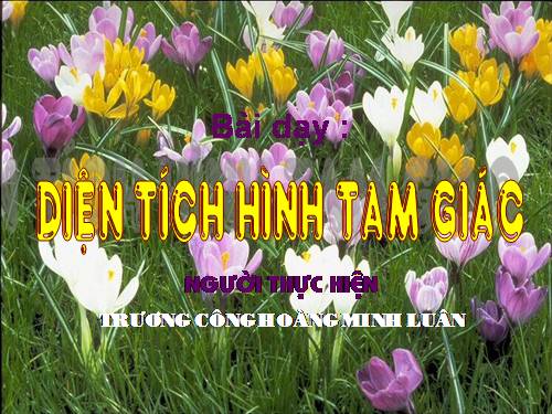 Diện tích hình tam giác