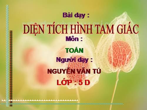 Diện tích hình tam giác