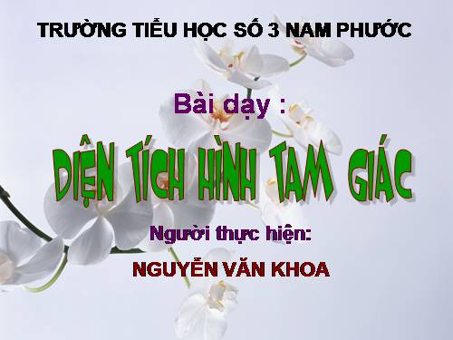 Diện tích hình tam giác