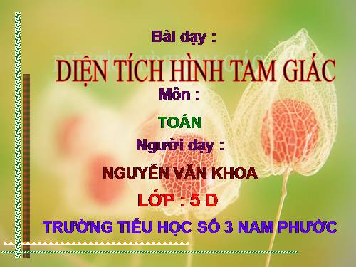 Diện tích hình tam giác