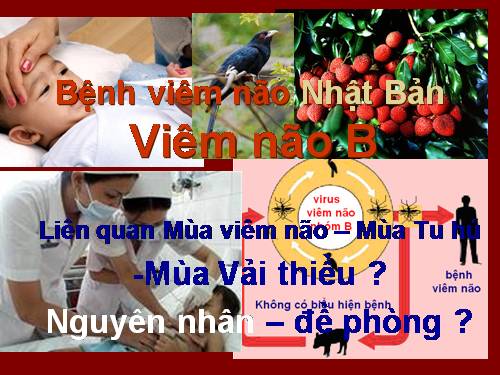 benh viem nao nhat ban