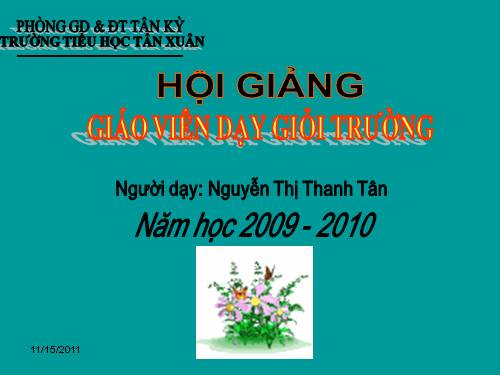 Diện tích hình tam giác