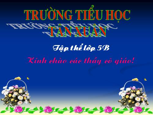 Tỉ số phần trăm