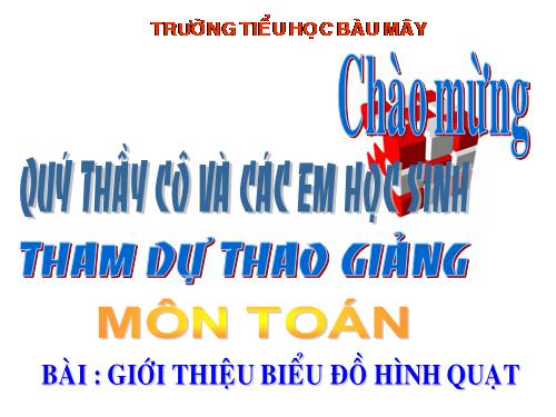 Giới thiệu biểu đồ hình quạt