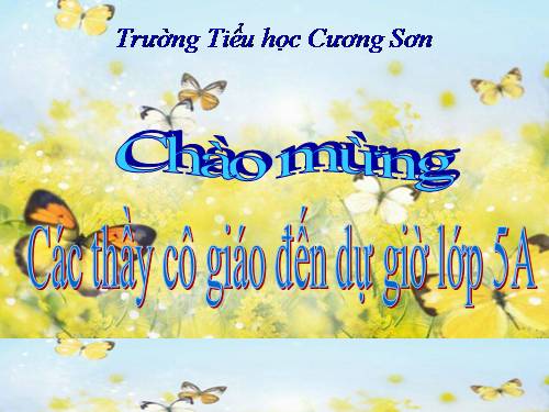 Các Bài giảng khác thuộc Chương trình Toán 5