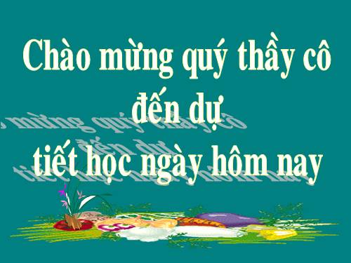 Các Bài giảng khác thuộc Chương trình Toán 5