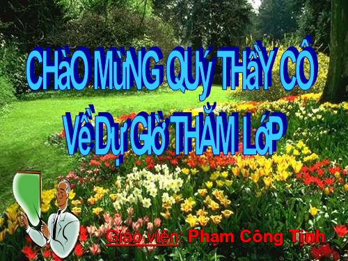 Các Bài giảng khác thuộc Chương trình Toán 5