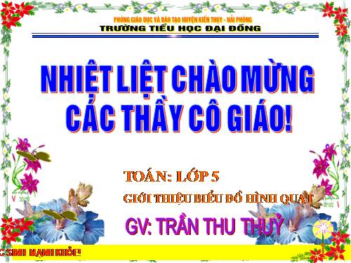 Giới thiệu biểu đồ hình quạt