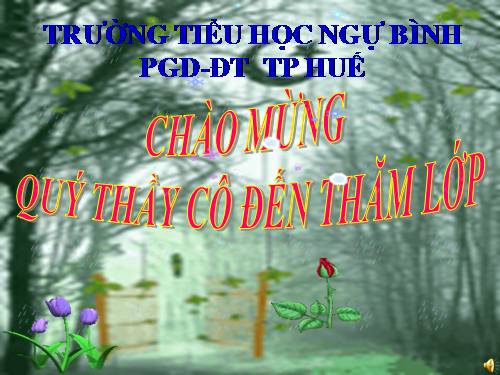 Giải toán về tỉ số phần trăm