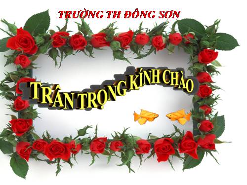 Hỗn số