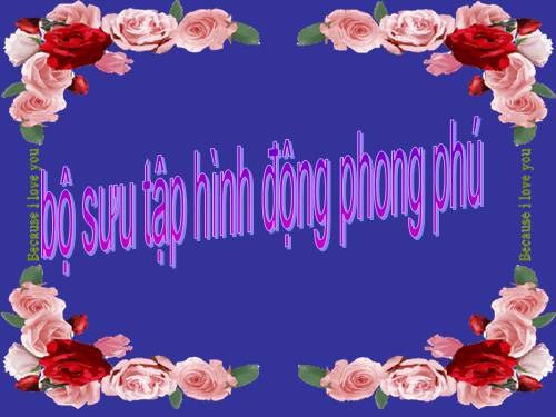 hình động tuyệt đẹp